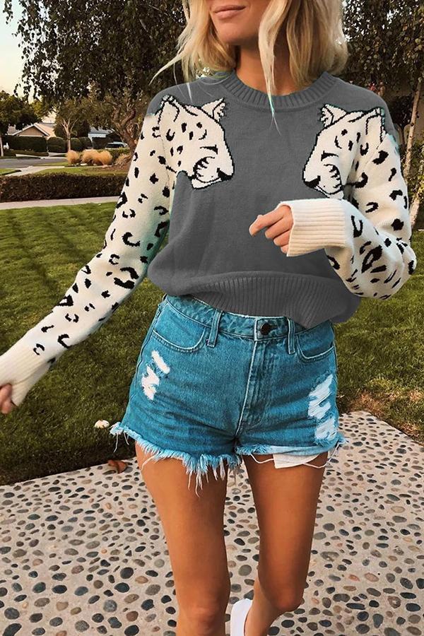 Casual Animal Print Sweater (6 Colors)