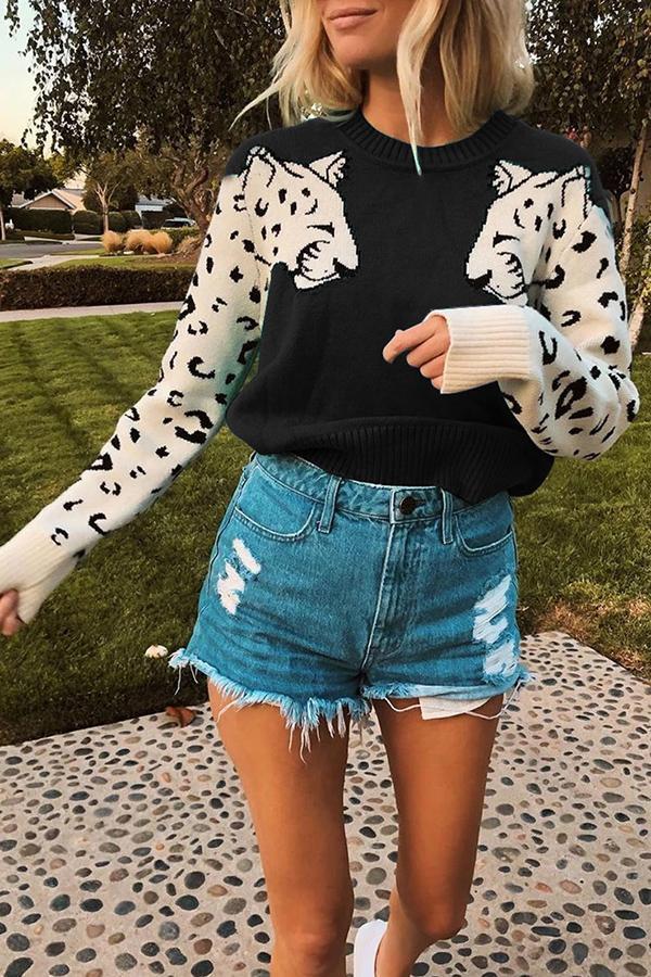 Casual Animal Print Sweater (6 Colors)