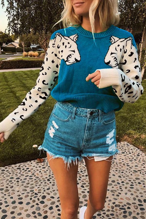 Casual Animal Print Sweater (6 Colors)